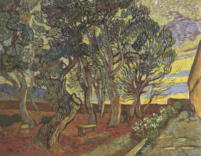 Vincent Van Gogh The Garden of Saint-Paul Hospital (nn04) Germany oil painting art